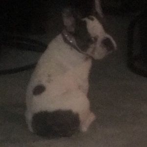 Meet your Posher, Alex